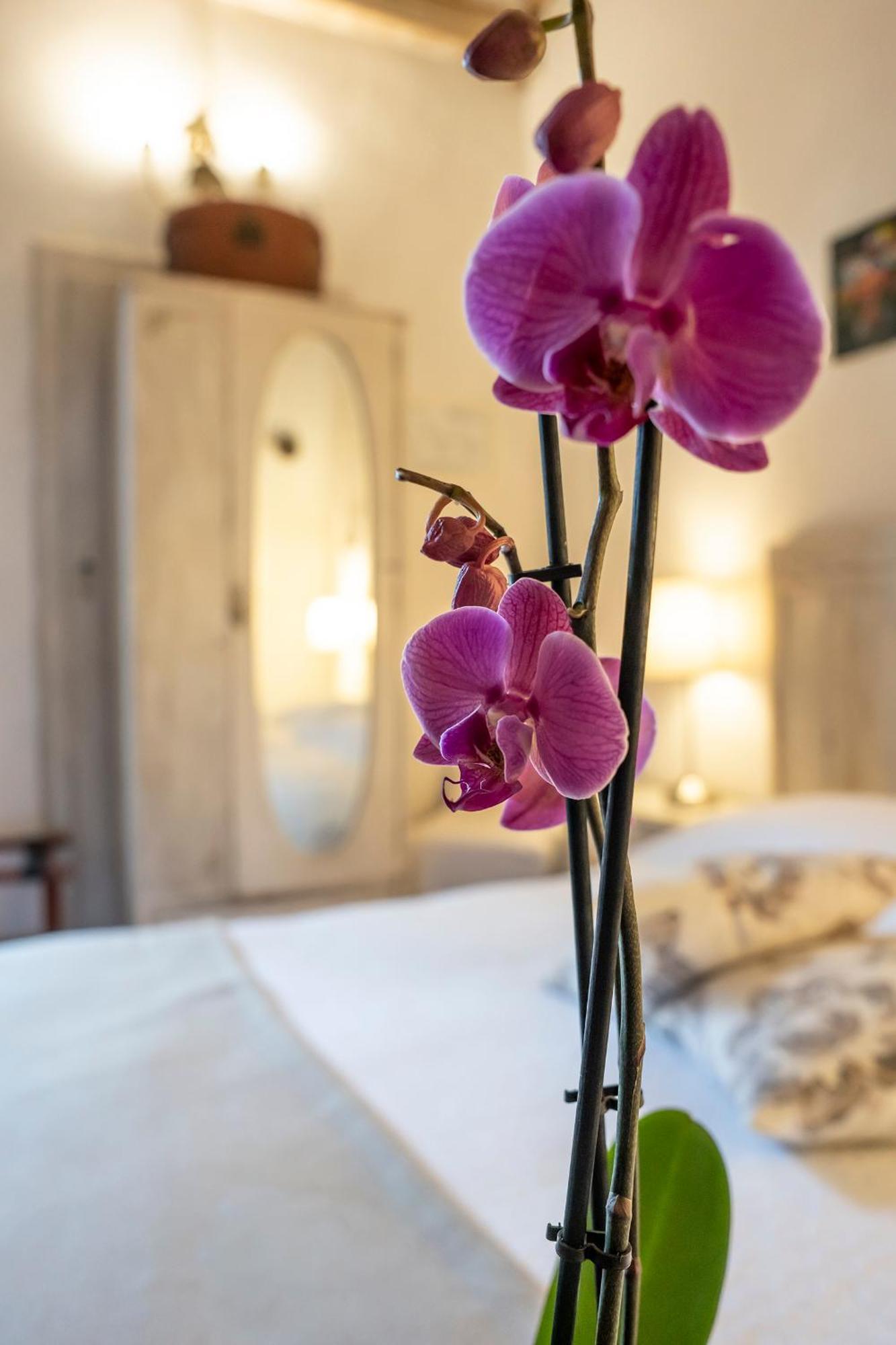 Le Terrazze Del Chianti B&B Residenza D'Epoca E Di Charme San Donato in Poggio Екстер'єр фото
